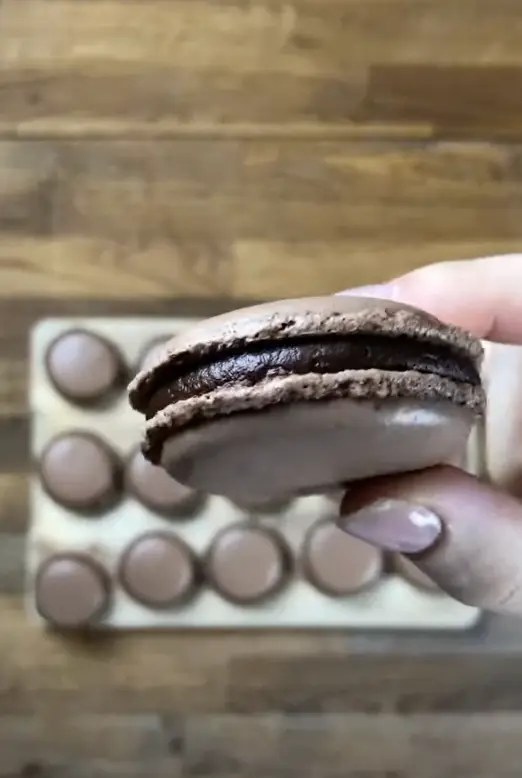 macaron vegan au chocolat