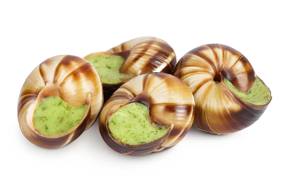 escargot a degorger